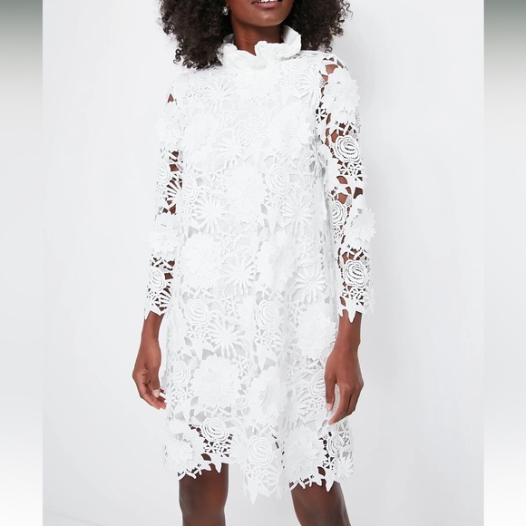 TUCKERNUCK Blanc Guipure Lace Daphne Dress - Picture 2 of 11